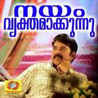 Paadu Thalipoothumbi (From "Nayamvyakthamakunnu") Venugopal,Sujatha,Johnson Song Download Mp3