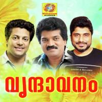 Ambey Jaya Madhu Balakrishnan Song Download Mp3