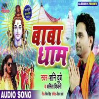 Baba Dham Krishna Premi Song Download Mp3