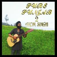 Pure Punjab 2 songs mp3