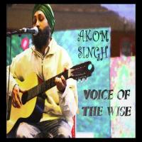 Voice Of The Wise songs mp3