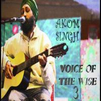 Voice Of The Wise 3 songs mp3