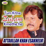 Tum Kitne Zulam Kmathe Ho Attaullah Khan Esakhelvi Song Download Mp3