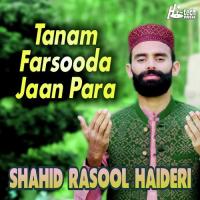 Tanam Farsooda Jaan Para Shahid Rasool Haidari Song Download Mp3