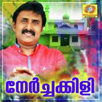 Nerchakkili songs mp3