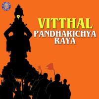 Vitthal Pandharichya Raya songs mp3