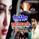 Rota Hai Dil Tumhe Yaad Karke Alok Kumar Song Download Mp3