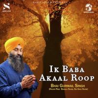 Ik Baba Akaal Roop Bhai Gurmail Singh Song Download Mp3