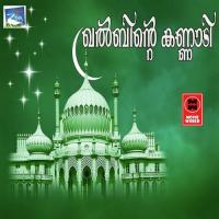Ney Meena Ali Kottakkal Song Download Mp3