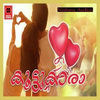 Aavathundakum Kallam Ameen,Nasala Song Download Mp3