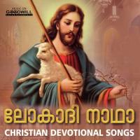 Akatharillaghaye Shallu Sebastian Song Download Mp3