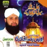 Bol Balay Meri Sarkaron Ke, Vol. 116 songs mp3