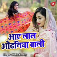 Bhaiya Ke Biyah Me Gaini Sasurari Shankar Budev Song Download Mp3