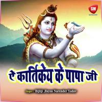 Dhani Re Sawan Suhawan Gauri Sankar Song Download Mp3