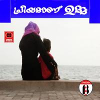 Thulikakkezhuthan Hisham Veeriambram Song Download Mp3
