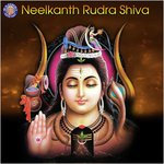Rudram Namakam Vighnesh Ghanapaathi,Gurumurthi Bhat,Shridhara Bhat Vedadhara Song Download Mp3