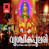 Paramapavanam Manohar Song Download Mp3