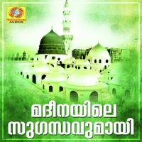 Avesham Alathallum Singe Rafeeq Song Download Mp3