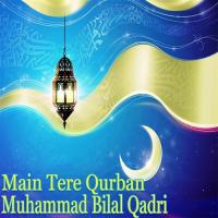 Main Tere Qurban songs mp3