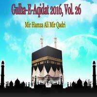 Hum Bhi Madinay Jaeingay InshAllah Mir Hamza Ali Mir Qadri Song Download Mp3