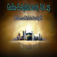 Gulha-e-Aqidat 2016, Vol. 25 songs mp3