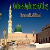 Gulha-e-Aqidat 2016, Vol. 23 songs mp3