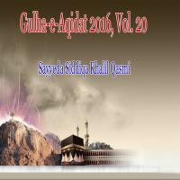 Gulha-e-Aqidat 2016, Vol. 20 songs mp3