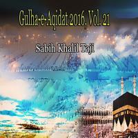 Gulha-e-Aqidat 2016, Vol. 21 songs mp3