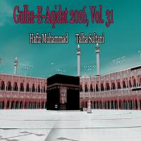 Sall Allah Subhan Allah Hafiz Muhammad Talha Sultani Song Download Mp3