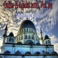 Gulha-e-Aqidat 2016, Vol. 29 songs mp3