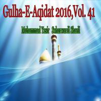 Gulha-e-Aqidat 2016, Vol. 41 songs mp3