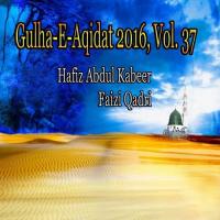 Gulha-e-Aqidat 2016, Vol. 37 songs mp3