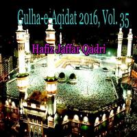 Gulha-e-Aqidat 2016, Vol. 35 songs mp3