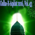 Gulha-e-Aqidat 2016, Vol. 43 songs mp3