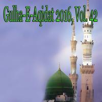 Gulha-e-Aqidat 2016, Vol. 42 songs mp3