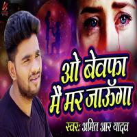 O Bewfa Mai Mar Jaunga Amit R Yadav Song Download Mp3