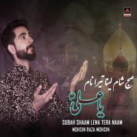 Subah Shaam Lena Tera Naam Mohsin Raza Mohsin Song Download Mp3
