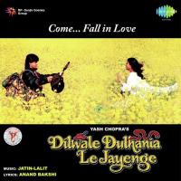 Dilwale Dulhania Le Jayenge (Audio Film) Shah Rukh Khan,Kajol,Anupam Kher,Amrish Puri,Farida Jalal,Satish Shah,Achala Sachdev,Mandira Bedi,Karan Johar Song Download Mp3
