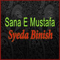 Sana E Mustafa Syeda Binish Song Download Mp3