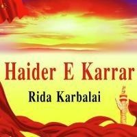 Aap Ki Ummat Rida Karbalai Song Download Mp3