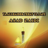 Ya Ali Haider Tehat Ul Lafz Asad Zaidi Song Download Mp3