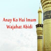Anay Ko Hai Imam Wajahat Abidi Song Download Mp3