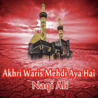 Akhri Waris Mehdi Aya Hai Naqi Ali Song Download Mp3