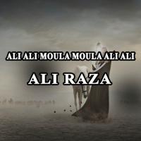 Ali Ali Moula Moula Ali Ali Ali Raza Song Download Mp3