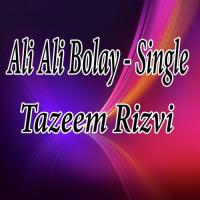 Ali Ali Bolay Tazeem Rizvi Song Download Mp3
