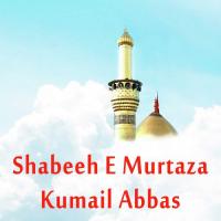 Shabeeh E Murtaza Kumail Abbas Song Download Mp3