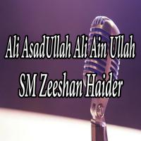 Ali Asad Ullah Ali Ain Ullah S. M. Zeeshan Haider Song Download Mp3