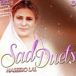 Teri Yaad Bara Tarpaondi Ae Naseebo Lal,Maratab Ali Song Download Mp3