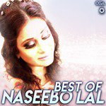 Best of Naseebo Lal songs mp3