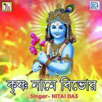 Krishna Name Bivor Nitai Das Song Download Mp3